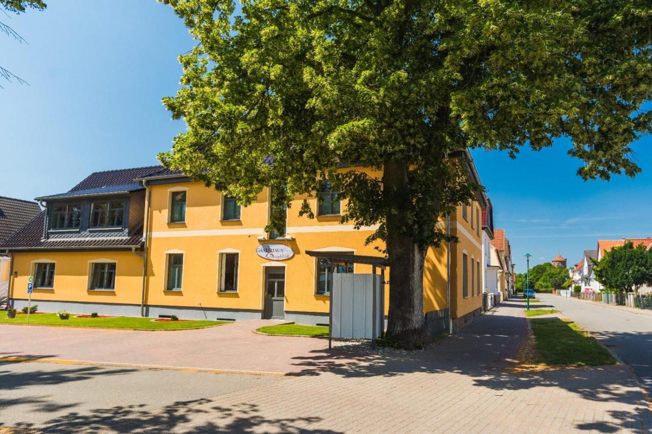 Gaestehaus Burgblick Нойщат-Глеве Екстериор снимка